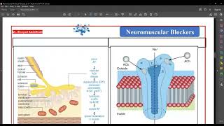 Neuromuscular blocking Drugs By Dr Elsayed Abdelhad 2023 [upl. by Porett]