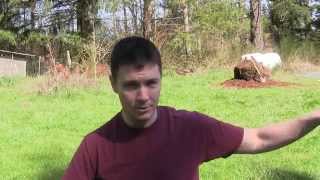 Potting up Rhododendrons at Kincaids Nursery Part 1 Growing Your Own Landscape Plants [upl. by Sihon]