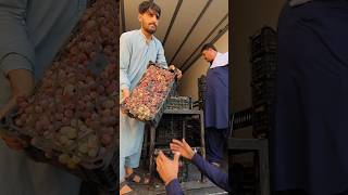 Toffee grapes price decreased [upl. by Ahsets]