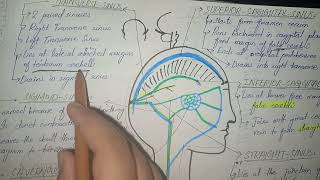 Dural Venous Sinuses Part 2 [upl. by Squier]