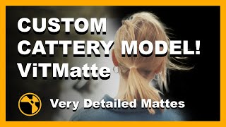 Custom Cattery Model  Create High Detail Mattes With ViTMatte  Nuke [upl. by Francisco409]