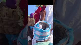 Neelareddypalli thimmappa Swami Akkadevathala Parasa ytshorts youtubeshorts shorts [upl. by Repmek]