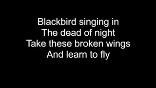 BLACKBIRD  HD With Lyrics  THE BEATLES cover by Chris Landmark [upl. by Pratt]