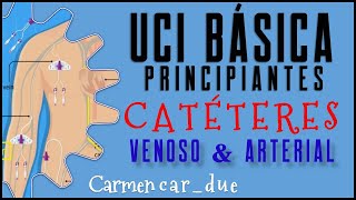 ♻️CATETERES Venosos y Arteriales [upl. by Aggappera]