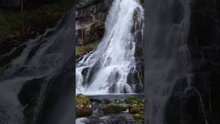 Gollinger Waterfall 🇦🇹🚁 drone djimini4pro dji waterfall austria shorts subscribe [upl. by Shoshana120]