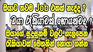 Job vacancies in Sri Lanka I රැකියා I Part time job I Full time jobs  Job Sri Lanka  2022 [upl. by Ennayar959]