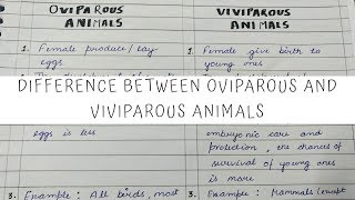 Difference between Oviparous and Viviparous animals 12th Biology [upl. by Adaven]