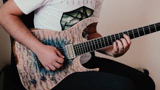 TesseracT  Hexes Cover only clean part  Skervesen Guitar [upl. by Une]