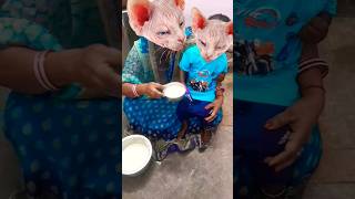 😂😂😂Lalla Lalla Lori dudh ki Katori🤣🤣🤣 Lalla Kare Tamasha🍚🍚🍚🍚🤣🤣😻😻😻😃😃😃😛😛😛🍚🍚🍚🍚 funny cute viral short [upl. by Sifan]