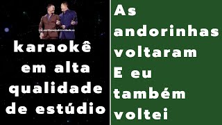 as andorinhas  eduardo costa e leonardo  Karaokê em Alta Qualidade de Estúdio [upl. by Rochus]