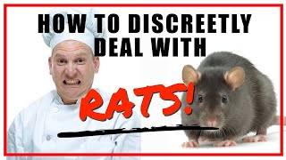 Discreet Restaurant Rat Removal Floors Vendors Storage Call A Pro Orlando Area [upl. by Ohare627]