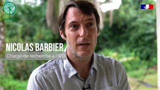 One Forest Vision Gabon  Nicolas BARBIER  chargé de recherche IRD [upl. by Nauqal]