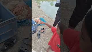 fishing videos village boys fishing 🎣 🐟🐟🐟🐟like subscribe [upl. by Jelle]