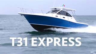 T 31 Express  3B CRAFT [upl. by Agler]