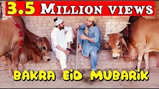 Bakra Eid mubarik l Peshori vines Official [upl. by Chan]