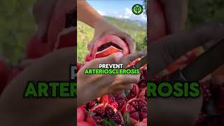 What Happens When You Eat Pomegranate Every Day shorts shortsviral viral wellness [upl. by Nodaj]