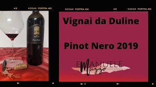 Degustazione Pinot Nero 2019 Vignai da Duline [upl. by Okorih202]