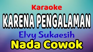 KARENA PENGALAMAN Karaoke Nada Cowok Elvy Sukaesih [upl. by Eolande]