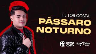 Heitor Costa  Pássaro Noturno Áudio Oficial [upl. by Ekaterina327]