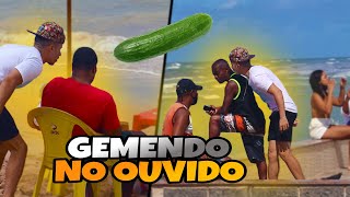 GEMENDO NO OUVIDO DAS PESSOAS COM PEPINO NA BERMUDA [upl. by Katine]