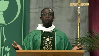 Catholic Mass Today  Daily TV Mass Monday November 18 2024 [upl. by Brogle11]