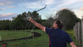 Korean Flight Archery 60lb Freddie vs Daylite [upl. by Skerl645]