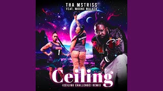 Ceiling Ceiling Challenge Remix Radio Version [upl. by Laeno109]