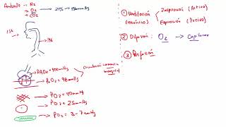 Fisiología  1 RM19 2V FISIOLOGIA SISTEMA RESPIRATORIO de Qx Medic on Vimeo [upl. by Annayek]