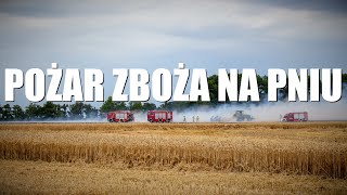 POŻAR ZBOŻA NA PNIU 9 ZASTĘPÓW W AKCJI  AKCJA GAŚNICZA [upl. by Ayotnom208]