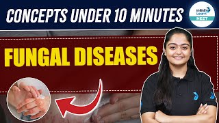 Fungal Diseases Human Health amp Disease  Quick Revise  NEET 2025  Class 12 Biology  TANIA MAAM [upl. by Earas827]