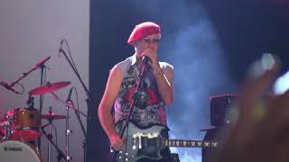 Captain Sensible live  WFestival 2018  WOT [upl. by Chandless149]