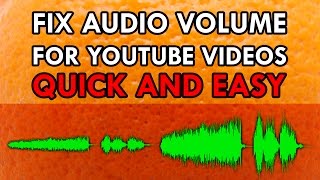 Simple Way to Fix Audio Volume of Your Youtube Videos Audacity  Levelator [upl. by David]