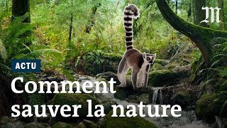 Quelles solutions resteil pour sauver la biodiversité [upl. by Annuaerb]