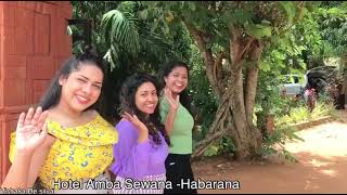 HABARANA Sri lanka 🇱🇰  Travel Vlog  Beautiful Habarana City  හබරණ  Elephant ride 🐘 🏡 [upl. by Nachison]