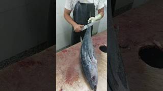 Cut Big Tuna according to the customers request [upl. by Eveleen]