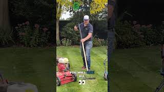 How to Effectively Remove Thatch from Your Lawn [upl. by Eidaj226]