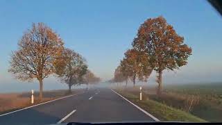 Einmal nach Torgau zum Baumarkt mit lustigen Umleitungen durch die Dahlener Heide Auto Umleitung [upl. by Sillsby]