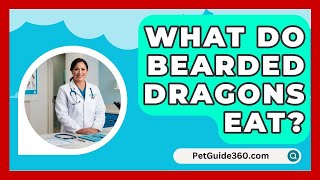 What Do Bearded Dragons Eat  PetGuide360com [upl. by Marmawke48]