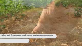 Geolifes Stress FreeEfficiency enhancer for Quick Resultsof Selective Herbicides Marathi [upl. by Ydnir]