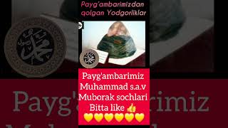 Paygambarimiz Muhammad sav 💯 ❤️ shortvideos viralvideos uzbekfilm shorts [upl. by Erna25]