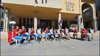 COLLA DE DOLÇAINA I TABAL DELS NANOS I GEGANTS DE VINARÒS [upl. by Urbai]