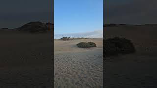 Maspalomas Sand Dunes 2024 [upl. by Iaverne]