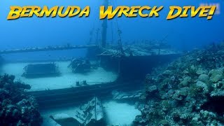 Diving the Hermes Wreck Bermuda The Bermuda Triangle [upl. by Eudo]