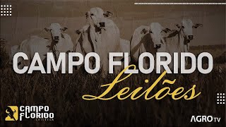 CAMPO FLORIDO LEILÕES AO VIVO  CAMPO FLORIDO MG [upl. by Adabel]