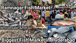 Biggest Fish Market in Hyderabad  Ramnagar Fish Market Musheerabad Fish Market WholesaleampRetail [upl. by Omsare]