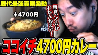 4700円分のクソデカCOCO壱カレーに挑戦する布団ちゃん【20241120】 [upl. by Eelirol]