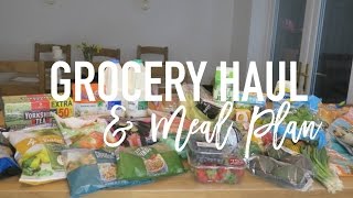 Healthy Eating Grocery Haul and Meal Plan WITH Channel Mum amp Iceland ad [upl. by Reid]