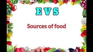 Good Food Evs Grade 1  Sources Of Food  Part 2 [upl. by Ecinue]