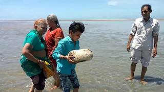 Floating Stone  रामसेतु का पानी मे तैरता हुआ पत्थर [upl. by Navac]