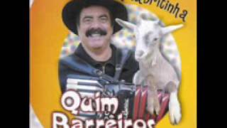 Quim Barreiros  A Cabritinha Álbum  A Cabritinha  2004 [upl. by Nodearb694]